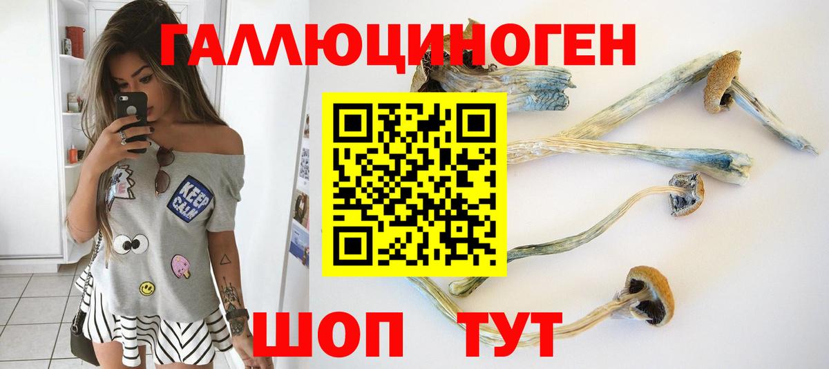 Галлюциногенные грибы мицелий Ленинск-Кузнецкий